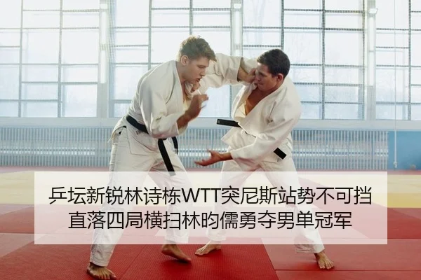 ping-tan-xin-rui-lin-shi-dong-tu-ni-si-zhan-shi-bu-ke-dang-zhi-luo-si-ju-heng-sao-lin-yun-ru-yong-duo-nan-dan-guan-jun-2-525.jpg